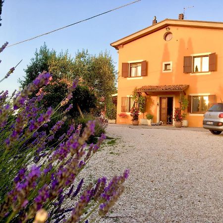 Locanda Della Lavanda San Clemente  Exterior photo