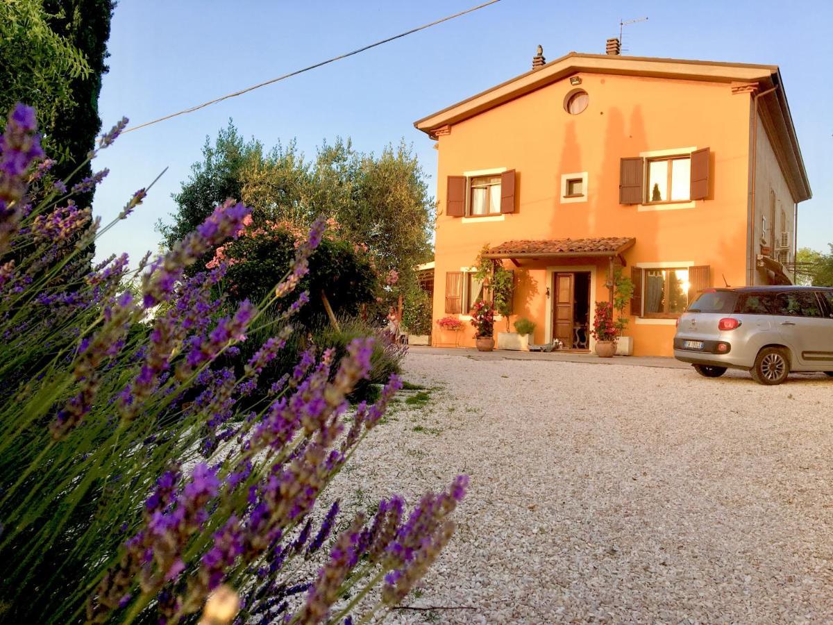 Locanda Della Lavanda San Clemente  Exterior photo